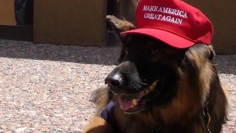 GOP delegate dash 101: Here's how it works